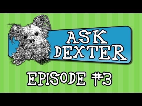 Ask Dexter: Travel, Pep Rap & Hooman for a Day!