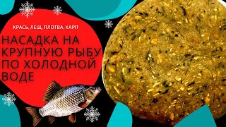 Идеальная Насадка Для Холодной Воды. Карась, Лещь, Крупная Плотва, Сазан.