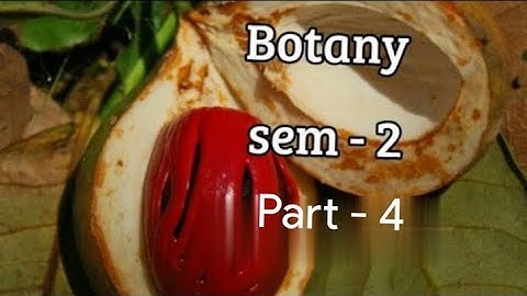 Kerala University BSc Botany previous questions -  BOTANY - Part - 4 (sem 2)