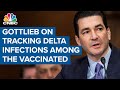 Dr. Scott Gottlieb: U.S. should track Delta infections in vaccinated people