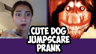 Cute Dog JUMPSCARE PRANK on Omegle