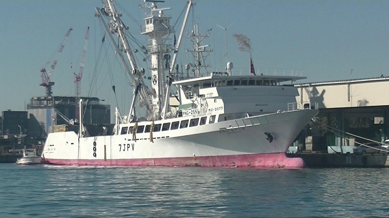 12月23日 第35八興丸(Hakko Maru)は残りの水揚げ - YouTube