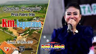 Tambatan hati - lilin herlina New pallapa live batang