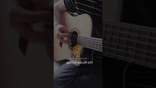 නුඹවත් නොදනී තව Part 02 (Numbawath Nodanee Thawa) - Bhava Soundscapes | Cinematic Acoustic Sinhala