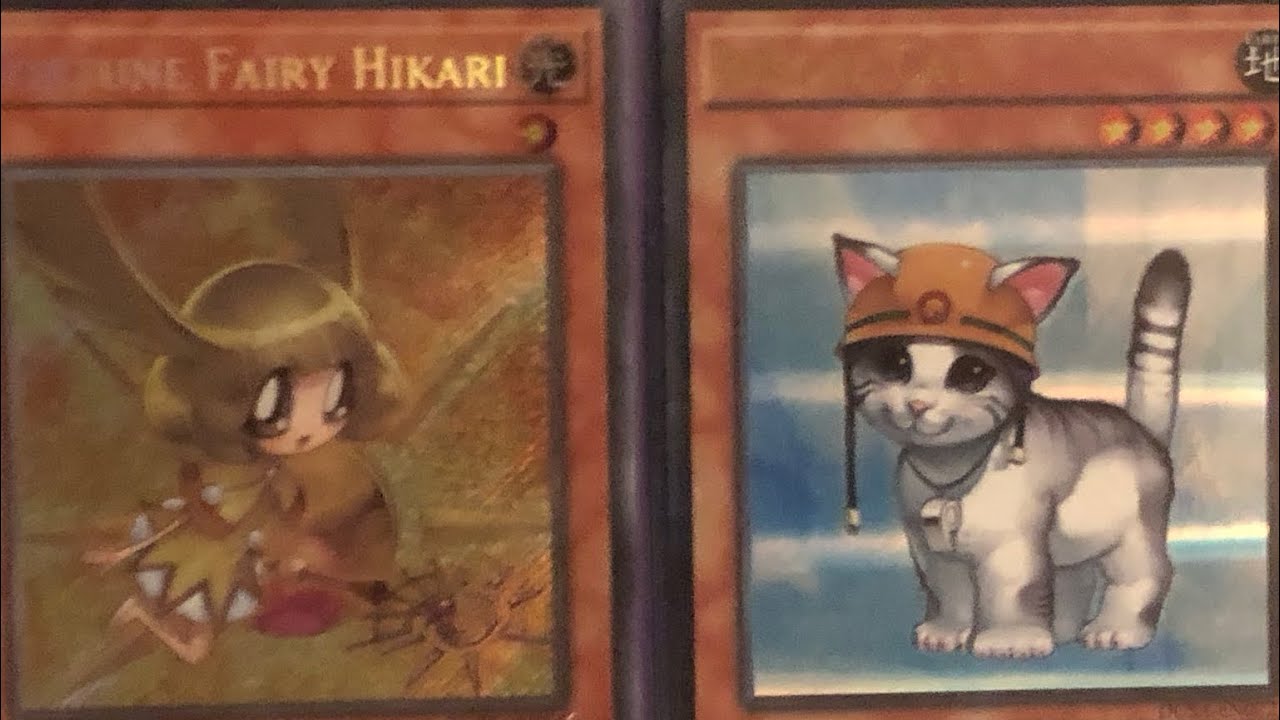 Richician Format Yu-Gi-Oh Match - Cat vs Fortune Fairy