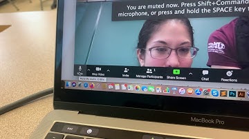 Instructions of how to access online video for class on Moodle/Zoom