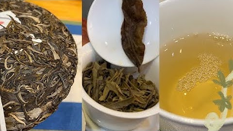 【如何泡好普洱茶?】比例│時間│注水  一點都不難!👌 - 天天要聞