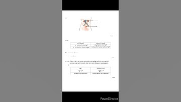 10ನೇ ತರಗತಿ | ವಿಜ್ಞಾನ |SA-1 | ಅರ್ಧವಾರ್ಷಿಕ ಪರೀಕ್ಷೆ | ಸಂಕಲನಾತ್ಮಕ ಪರೀಕ್ಷೆ|ಮಾದರಿ ಪ್ರಶ್ನೆಪತ್ರಿಕೆ #science
