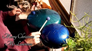戦場のメリークリスマスをさざなみドラム(Steel Tongue Drum)で演奏 / Merry Christmas, Mr. Laurence 坂本龍一 スチールドラム スリットドラム