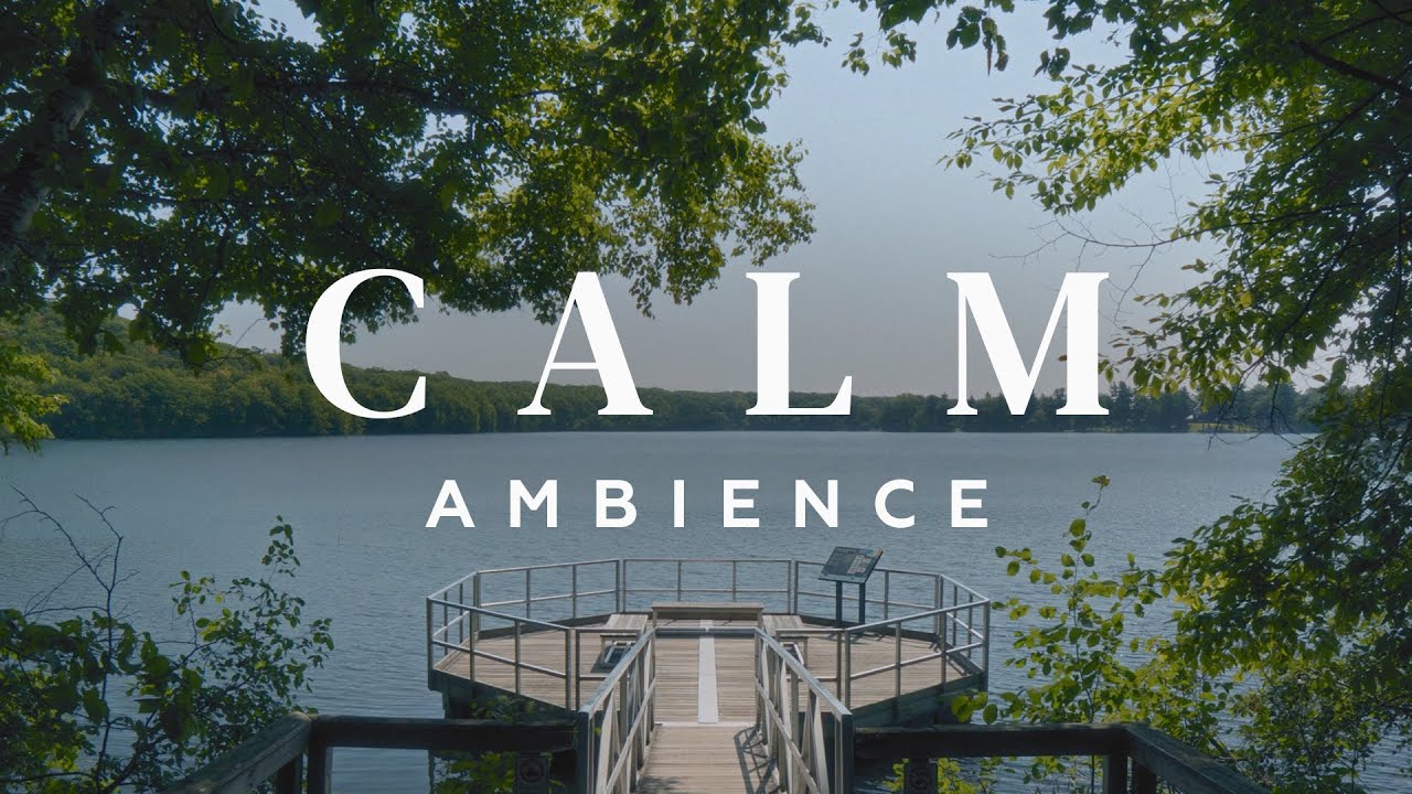 Calm Summer Ambience | Gentle Wind, Birds & Nature Sounds | Relax, Study, Unwind