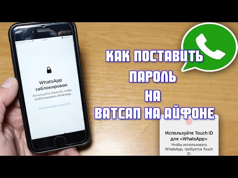 Video: Kuidas hoida WhatsAppi iPhone'is võrgus?