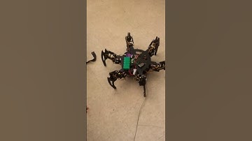 SELU Computer Science Project - The Lynxmotion Hexapod