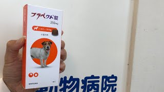 犬用ブラベクト錠250㎎開封動画【獣医師監修】