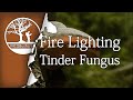 Bushcraft Tinder Fungus Poor Man's Amadou