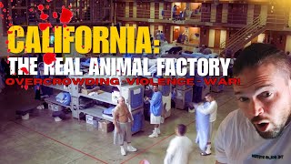 CALIFORNIA Ironwood State Prison Gets Wild!