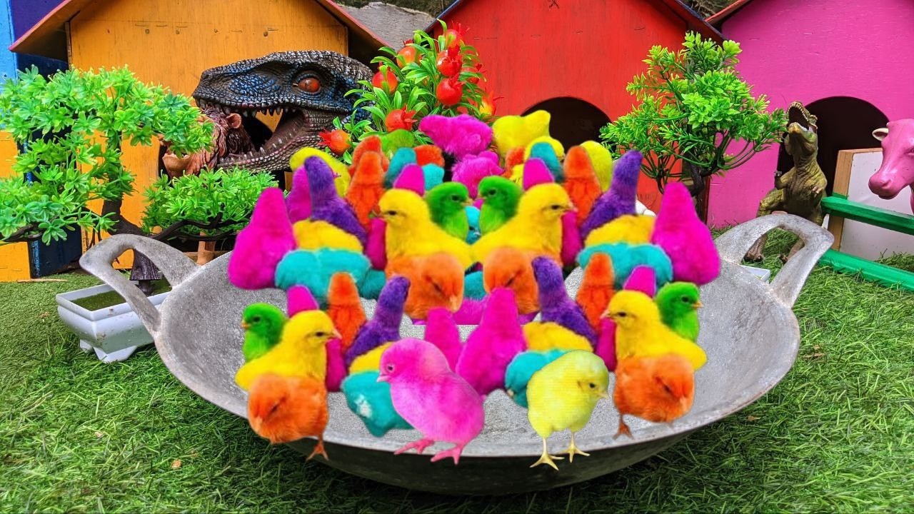 CUTE RAINBOW CHICKS  || COLORFUL CHICKS AND FLUFFY BUNNY HAPPY FARM STORY