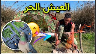 حياة البرية: رحلة صيد الحمام بري..صيد و طبخ 😋(صراع البقاء)