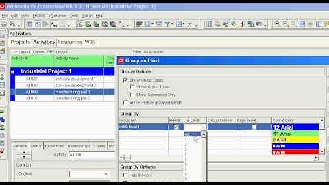 Primavera P6 where are the wbs nodes