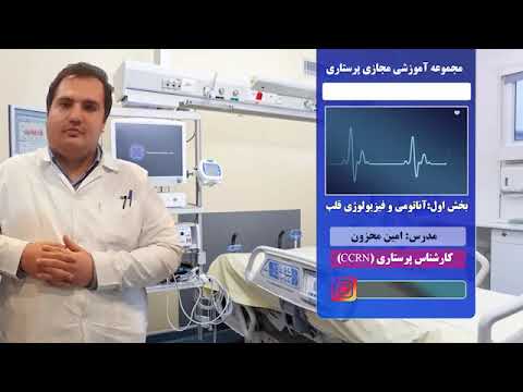 آموزش تفسیر نوار قلب ekg(جلسه اول)