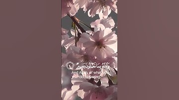 سوره الحديد || أكتب شي تؤجر عليه فالتعليقات 🤍 #قرآن