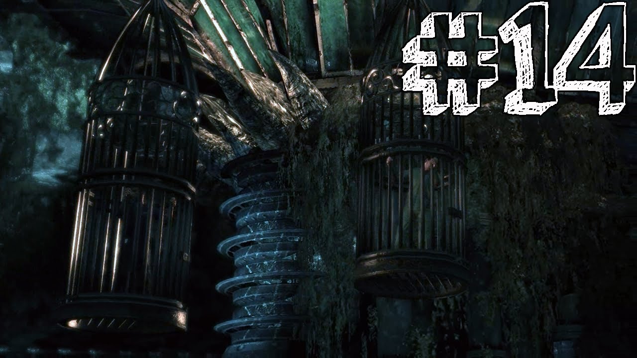 Batman Arkham Asylum Gameplay Walkthrough Part 14 AVIARY HOSTAGES YouTube batman-arkham-asylum-gameplay-walkthrough-part-14-aviary-hostages-youtube