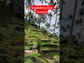 Indonesia | More than Just a Photo Stop - Tegallalang Rice Terraces