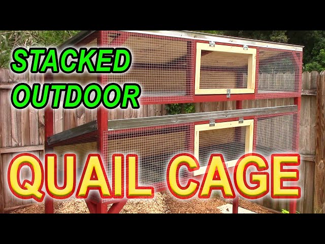 STACKED COTURNIX QUAIL CAGE - How to build an outdoor stacked quail cage class=