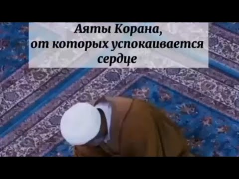 Dil  Hidaya Salovat                              Дил Хидайя Саловат                 صلوات 