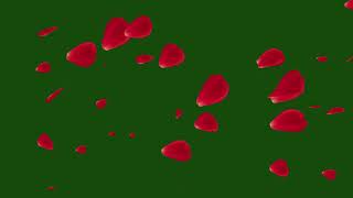Green Screen Effects Rose Petals Background