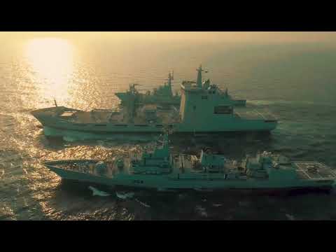 Pak Navy celebrates