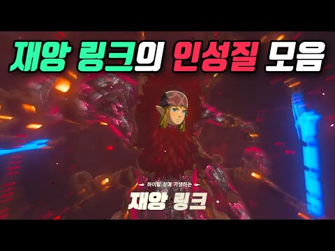 재앙 링크의 인성질 모음 (젤다의 전설 야생의 숨결)