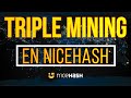 TRIPLE MINING EN NICEHASH - LO MAS RENTABLE AHORA - ERGO + KASPA + ZILLIQA - PAGOS EN BITCOIN