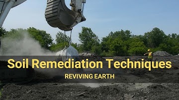Reviving Earth: 11 Soil Remediation Techniques for a Cleaner Planet