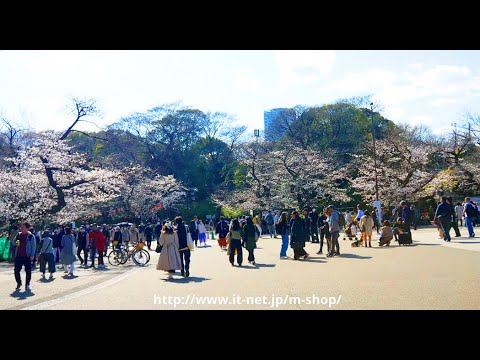 2023年3月20日 令和5年 みんなのアルバム