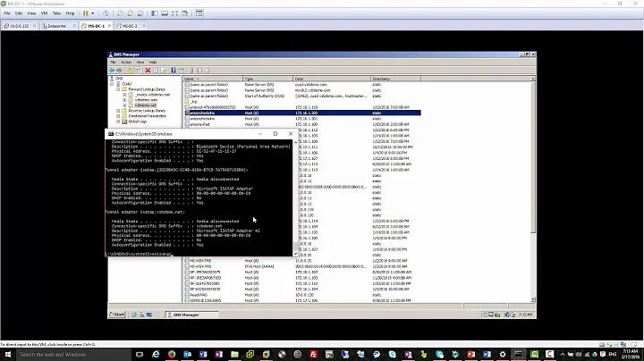 Multiple DNS A Records with same name and different ip