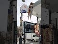 Tokyo 3d cat jumped out of the bill board into the street in Japan 🇯🇵 😂😂