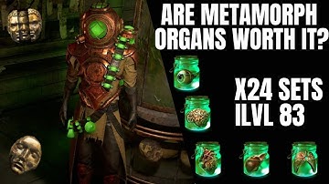 Loot from 24 Itemised Metamorph Organ Sample Sets in Tane