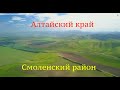 Алтайский край. Смоленский район июль 2021