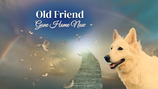 Old Friend — A Country Song for Anyone Who’s Lost a Beloved Dog