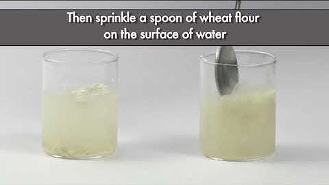 Testing Wheat Flour Adulteration with Excess Bran | FSSAI