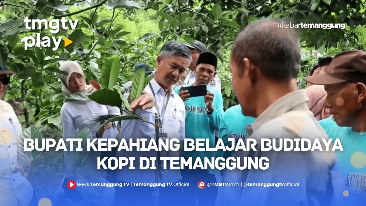 BUPATI KEPAHIANG BELAJAR BUDIDAYA KOPI DI TEMANGGUNG