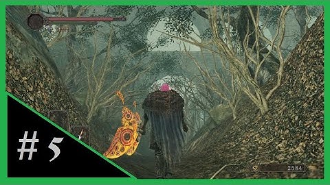 Dark Souls 2 Randomizer | part 5 | no commentary