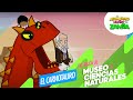 Carnotauro - Excursión al Museo de Ciencias Naturales