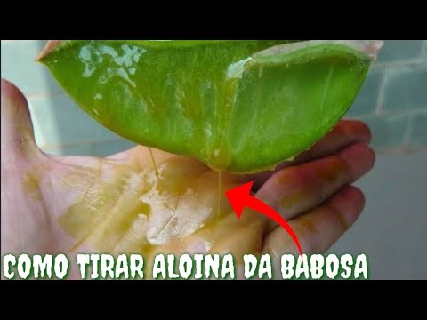 COMO TIRAR A ALOINA DA BABOSA - YouTube