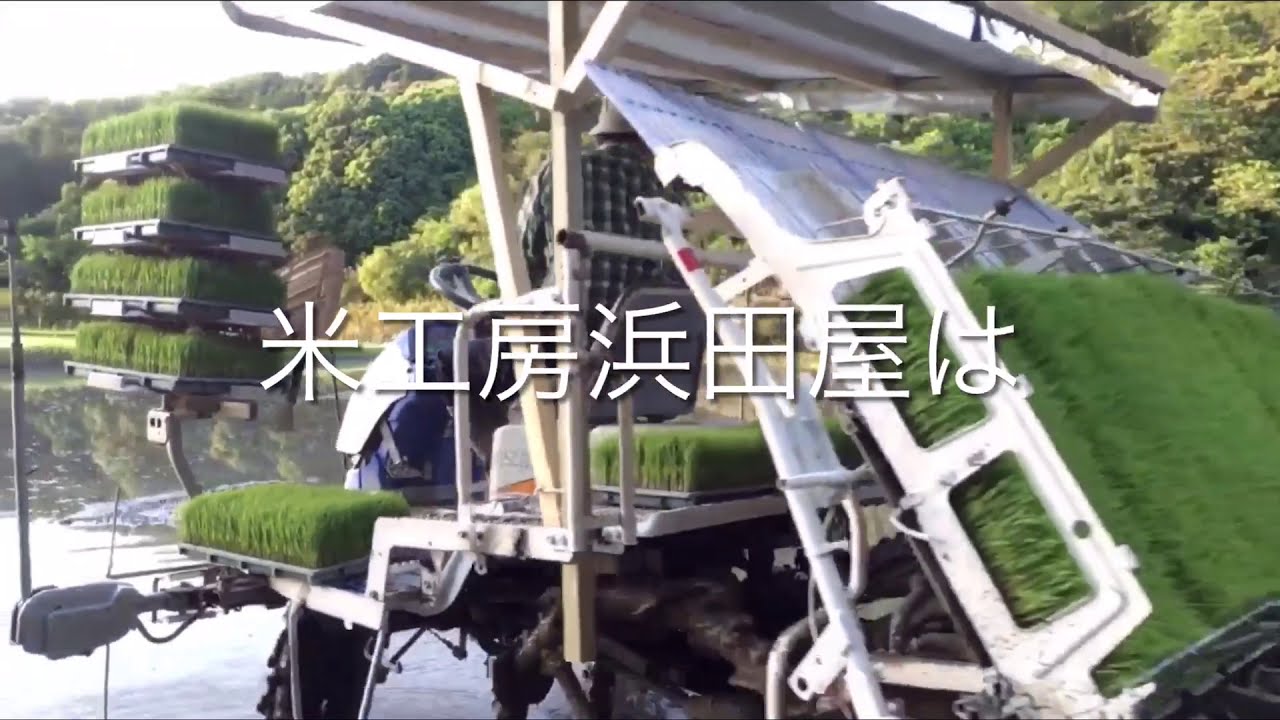 農耕トレーラー　2〜3トン　電源配線　農耕ナンバー 2021年2月10日。楽農稲作。自作コンバイントレーラーのナンバー取得