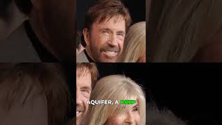 This Changes Everything About Chuck Norris 💧 Profile