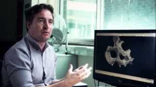 Swansea University – Dr Richard Johnston discusses X-ray microtomography and 3D printing screenshot 2