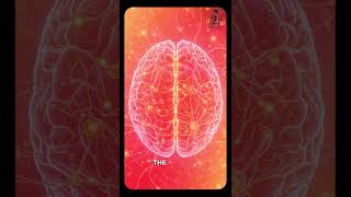 This Is How Your Brain Creates Habits💡#subconsciousmind #shorts | Dr. Imran khan Nagori | UWSK