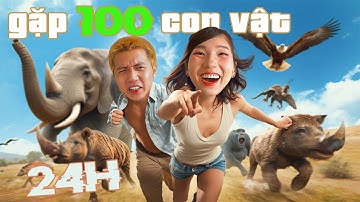 24h Gặp 100 Loài Động Vật | H&M CHANNEL