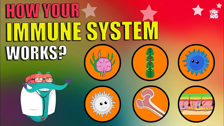 How Does Your Immune System Works?| What Is Immune System? | The Dr Binocs Show | Peekaboo Kidz - DayDayNews